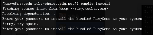 Ruby Bundle Install Prividge 1